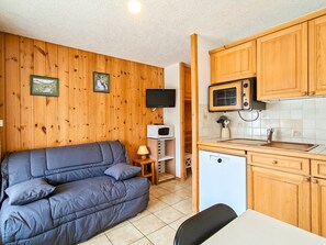 TV - Cozy studio in station center, terrace, pets allowed (Flaine)