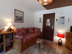 TV - Charming quiet T2 with parking and wifi in Chamonix (Chamonix-Mont-Blanc)