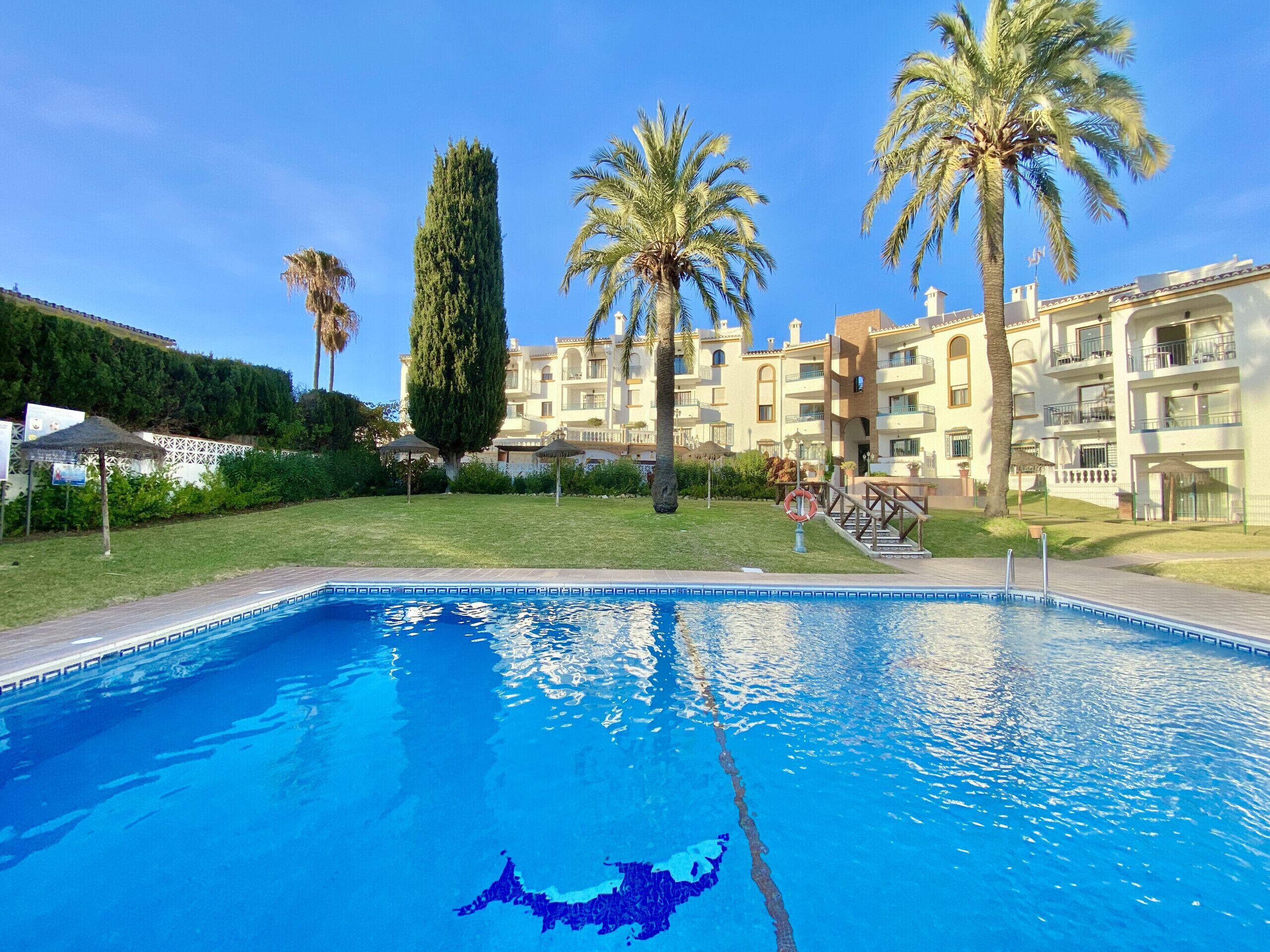 A swimming pool with a lifebuoy, palm trees, and a building with balconies in the background.