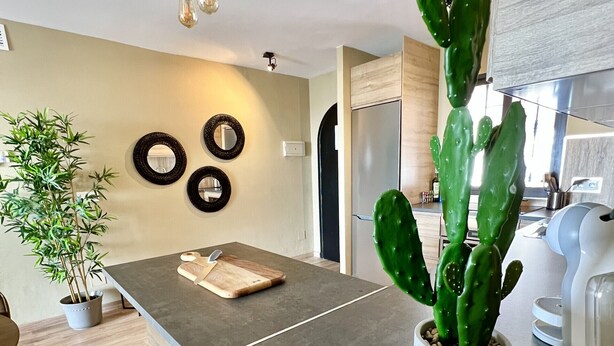 A modern kitchen with a central island, a potted cactus, and a hanging light fixture. - 53 - Apartment in Riviera with pool and sea view (Mijas Costa)