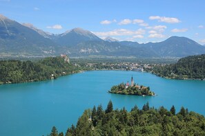 Unclassified image, 3 of 24, button