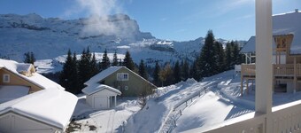 Spacious Chalet · Wood Stove · Free Unlimited WIFI · South-Facing Terrace · Garage · Sleeps 8