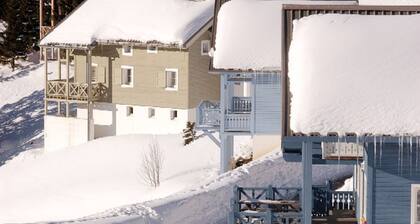 Geräumiges Chalet, Holzofen, kostenloses und unbegrenztes WLAN, Garage