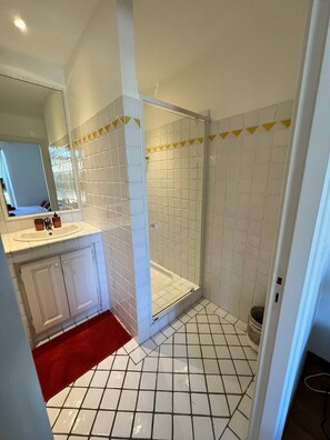 Shower, hair dryer, bidet, towels