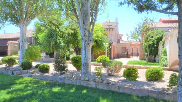 Un patio con un sendero de piedra, arbustos bien cuidados y árboles.