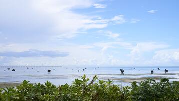 A coastal view with calm waters, distant boats, and lush greenery in the foreground.