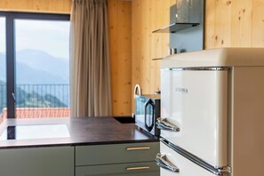 Kühlschrank, Mikrowelle, Herdplatte, Geschirrspüler