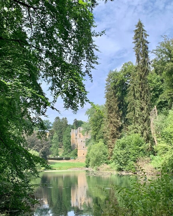 Combined shower/bathtub, jetted bath, eco-friendly toiletries