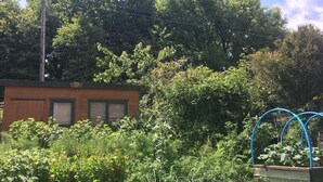 Een tuin met verschillende planten en een klein gebouw met gesloten luiken.