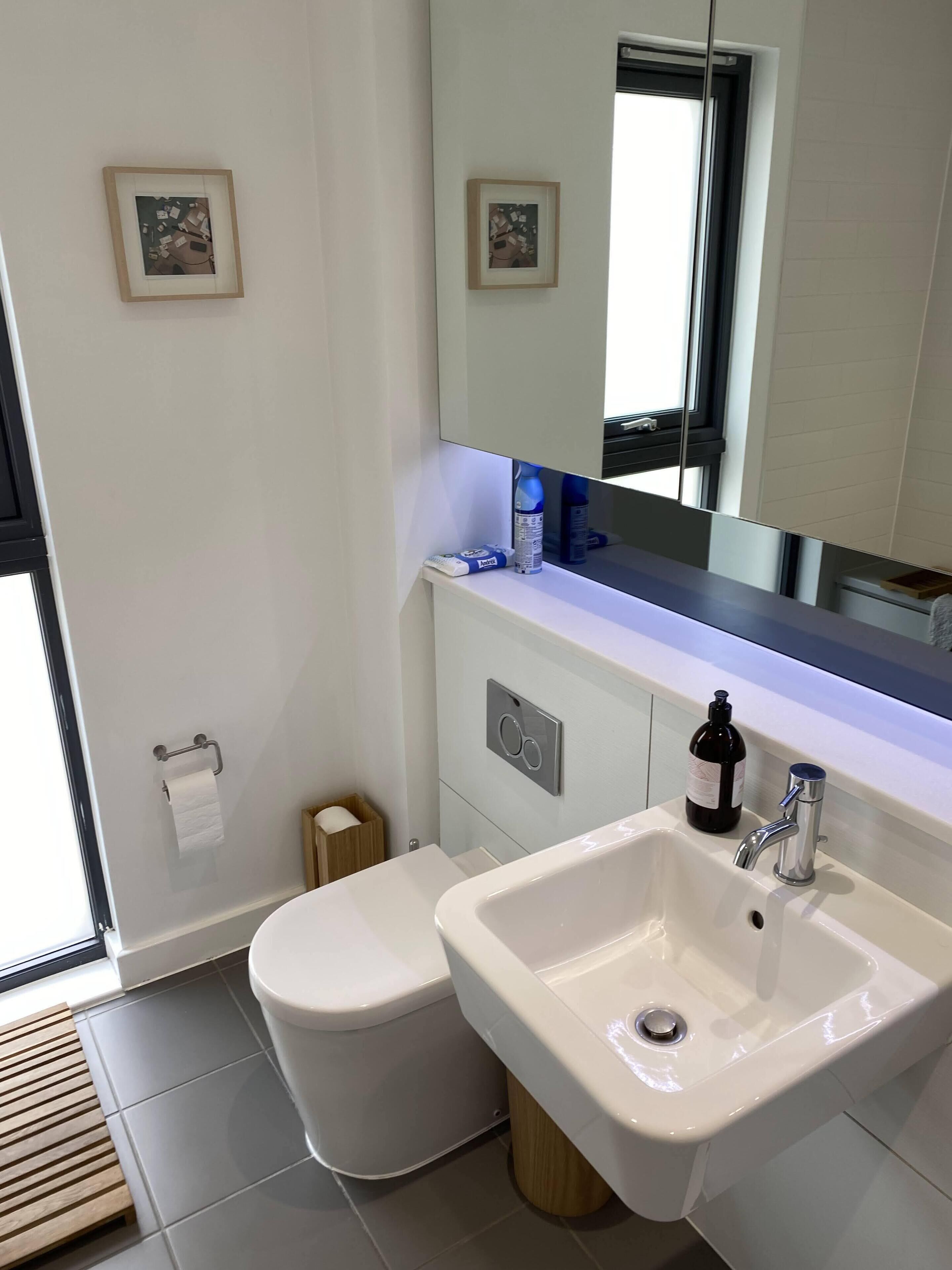 Combined shower/tub, hair dryer, towels, soap