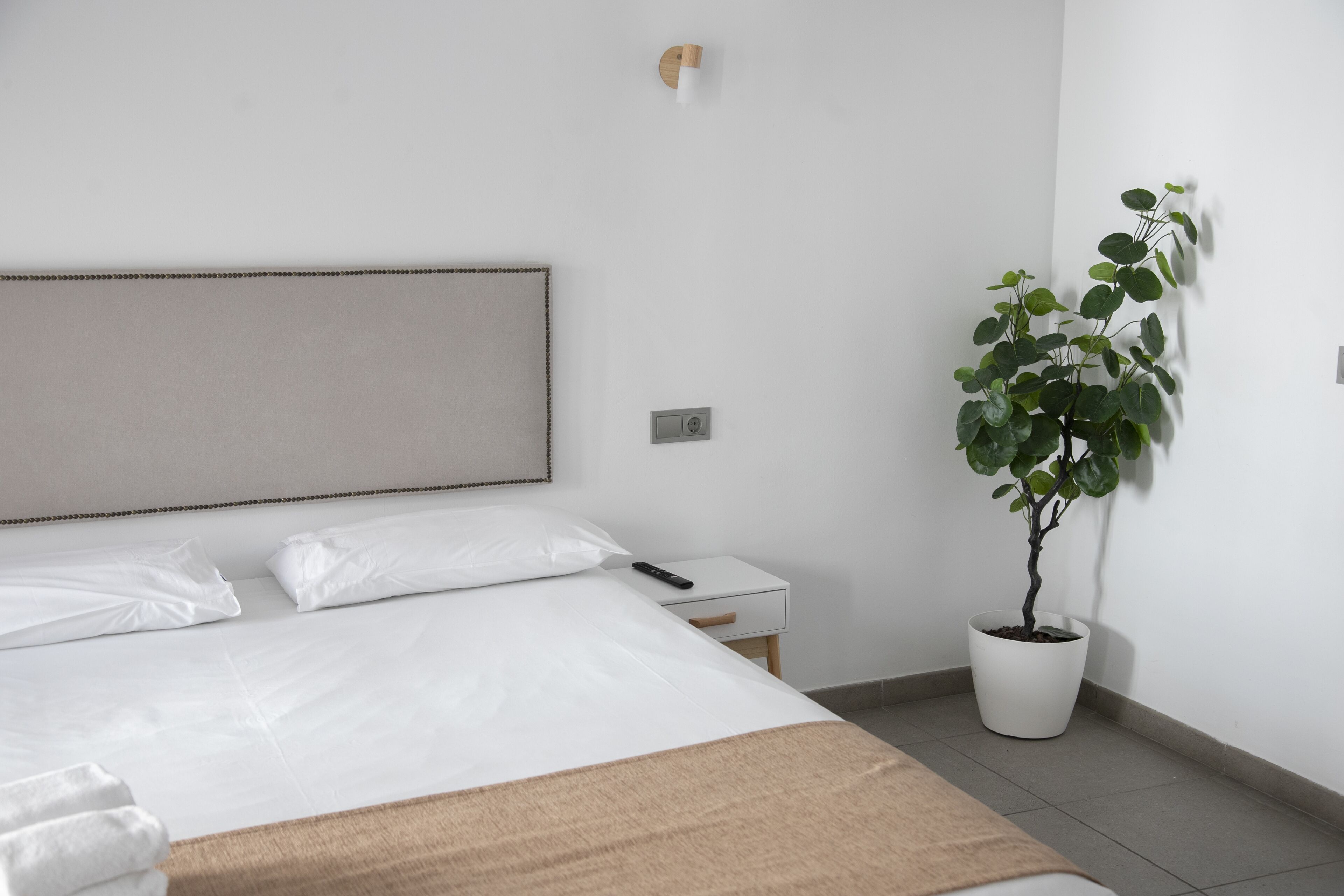 Een net opgemaakt bed met witte lakens, een nachtkastje met een afstandsbediening, een potplant en een wandlamp.