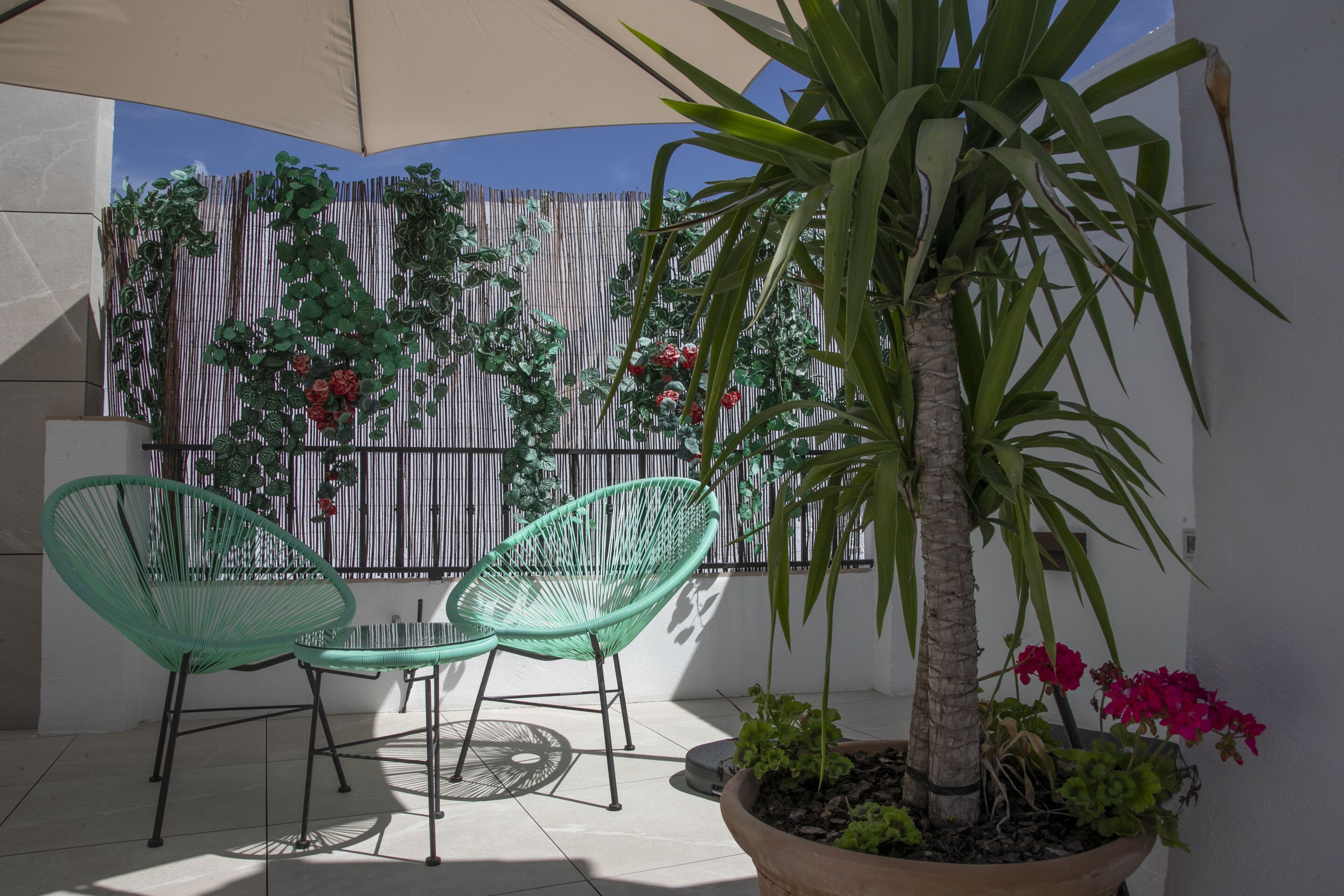 A patio with two green chairs, a table, a potted plant, and a bamboo fence with climbing plants.
