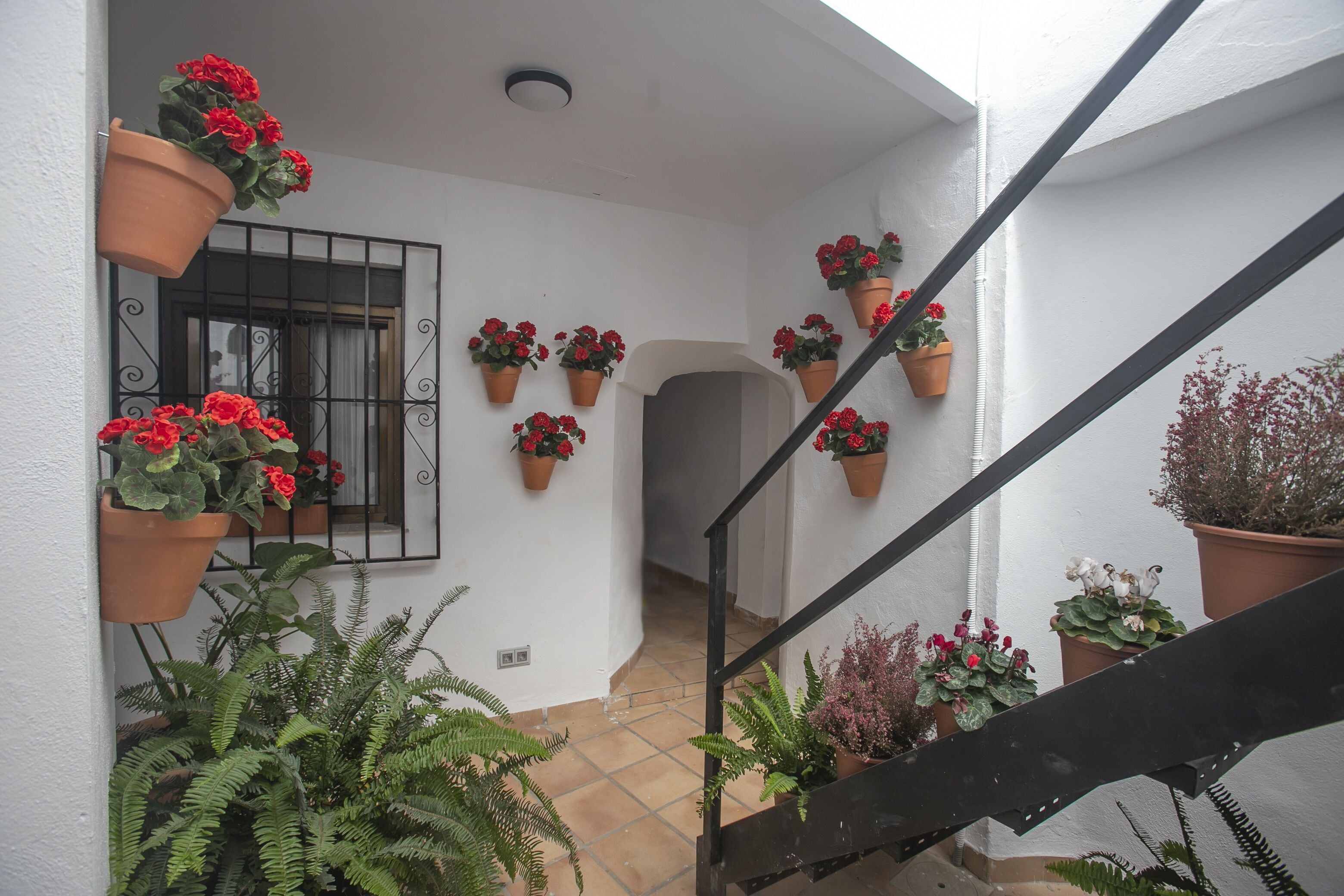 Foto - Vitium Córdoba