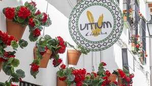 Un edificio adornado con flores rojas colgantes y un letrero con el logotipo de un pájaro.