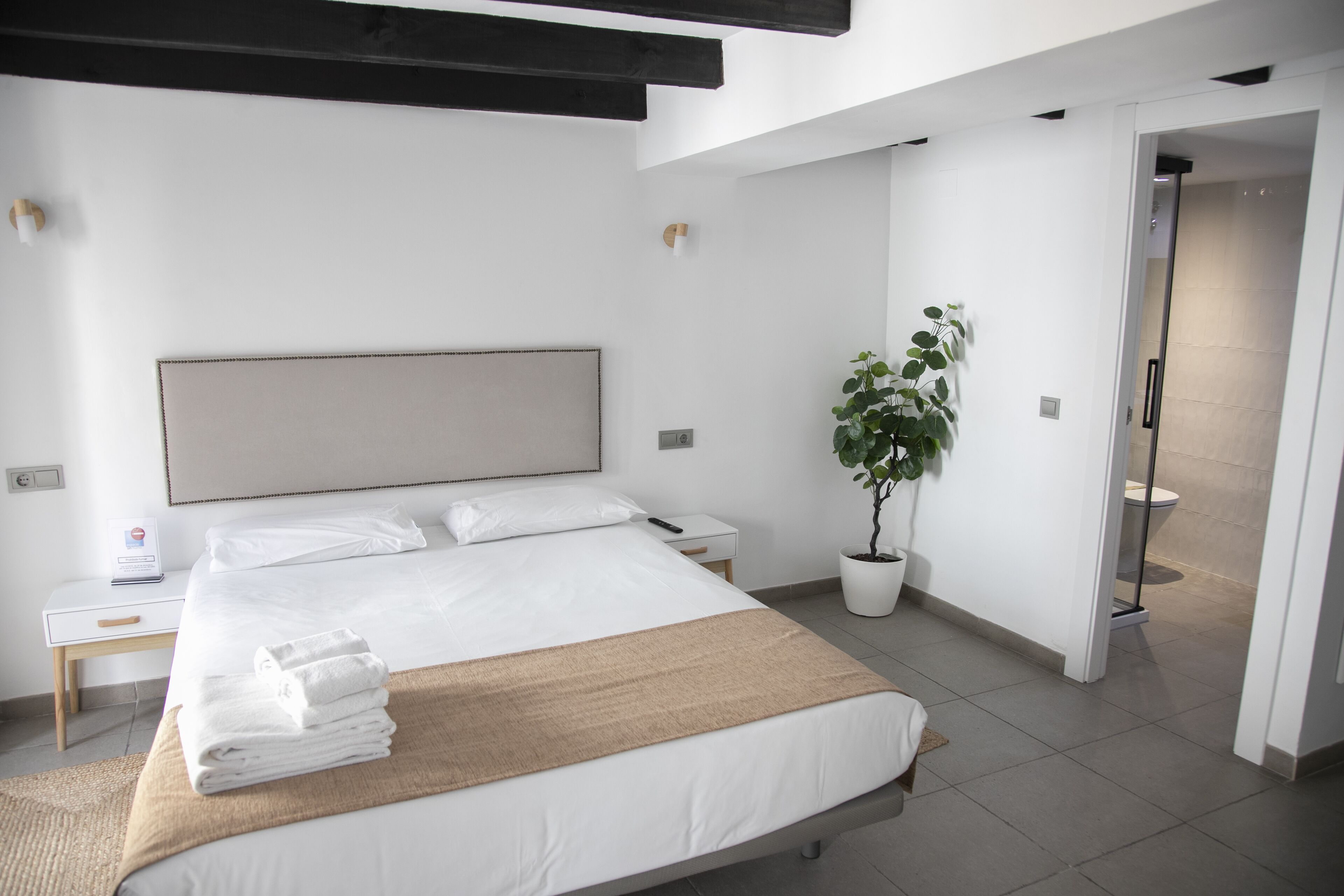 A modern hotel room with a large bed, a bedside table, a nightstand, a potted plant, and a bathroom visible through an open door.