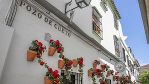 Fachada de edificio con el letrero "POZO DE CUETO" y varios maceteros de terracota con flores rojas.