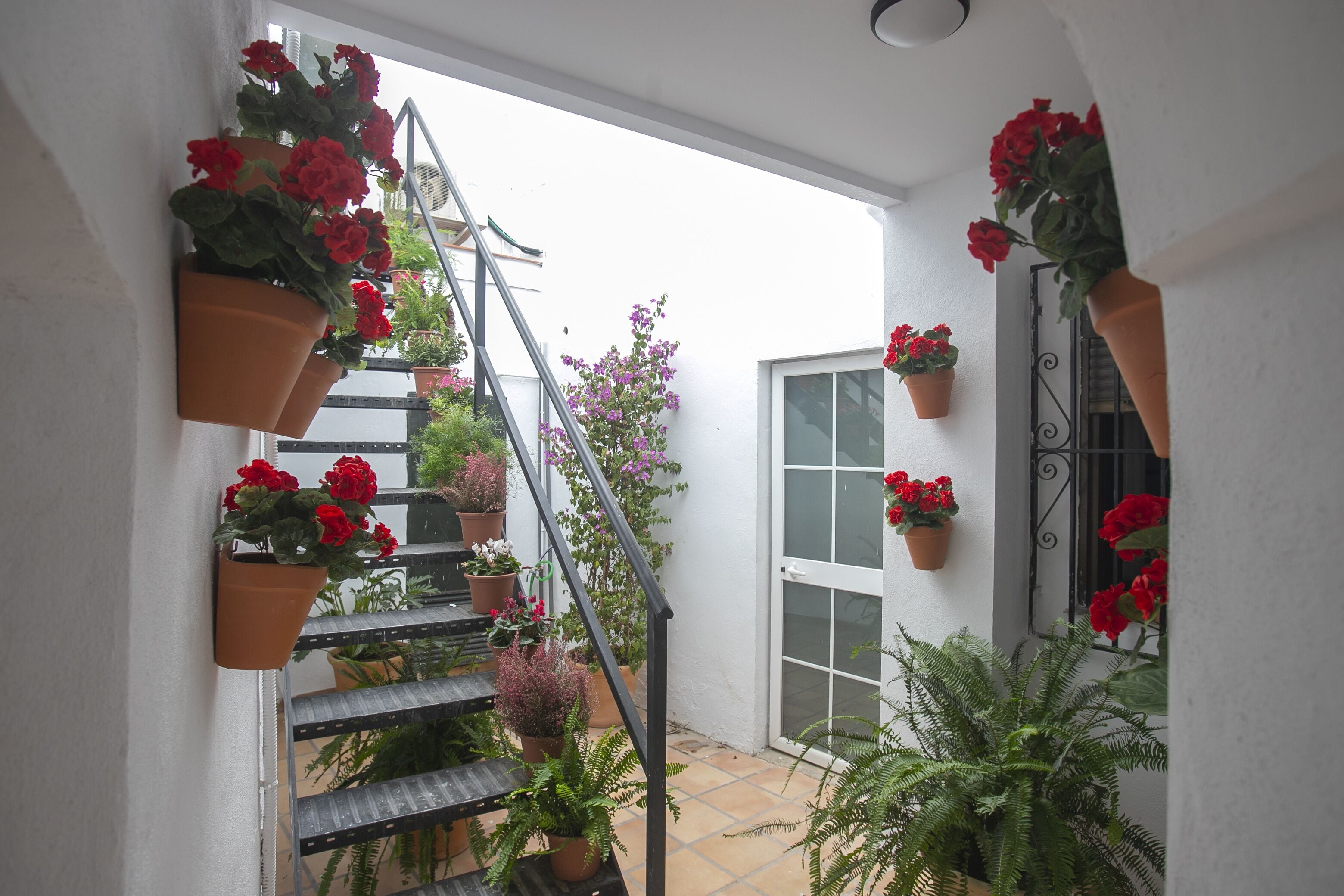 Foto - Vitium Córdoba