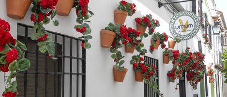 Um edifício com vários vasos de terracota pendurados na parede, cada um contendo flores vermelhas.