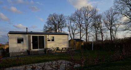 Weerribben Chalets - Buzzard