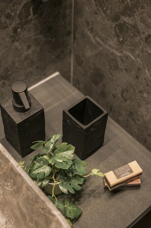 Maison Affaires, vue océan | Salle de bain | Douche, serviettes fournies