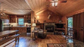 TV, fireplace, DVD player, books