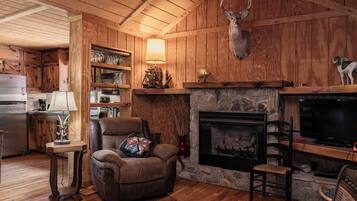 TV, fireplace, DVD player, books