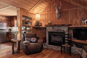 TV, fireplace, DVD player, books