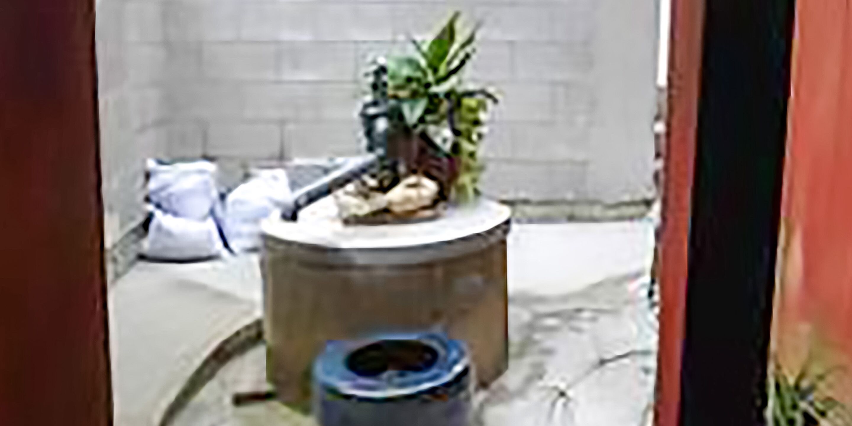 A small room with a wooden barrel, a blue container, and a potted plant.