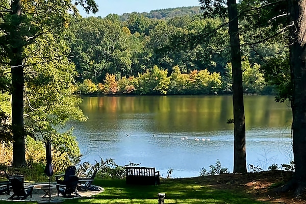 Terrain de l’hébergement 