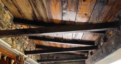 Wood Valley in the foothill of Himalayas.