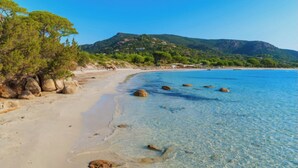Une plage avec une eau claire, des rochers et des arbres.