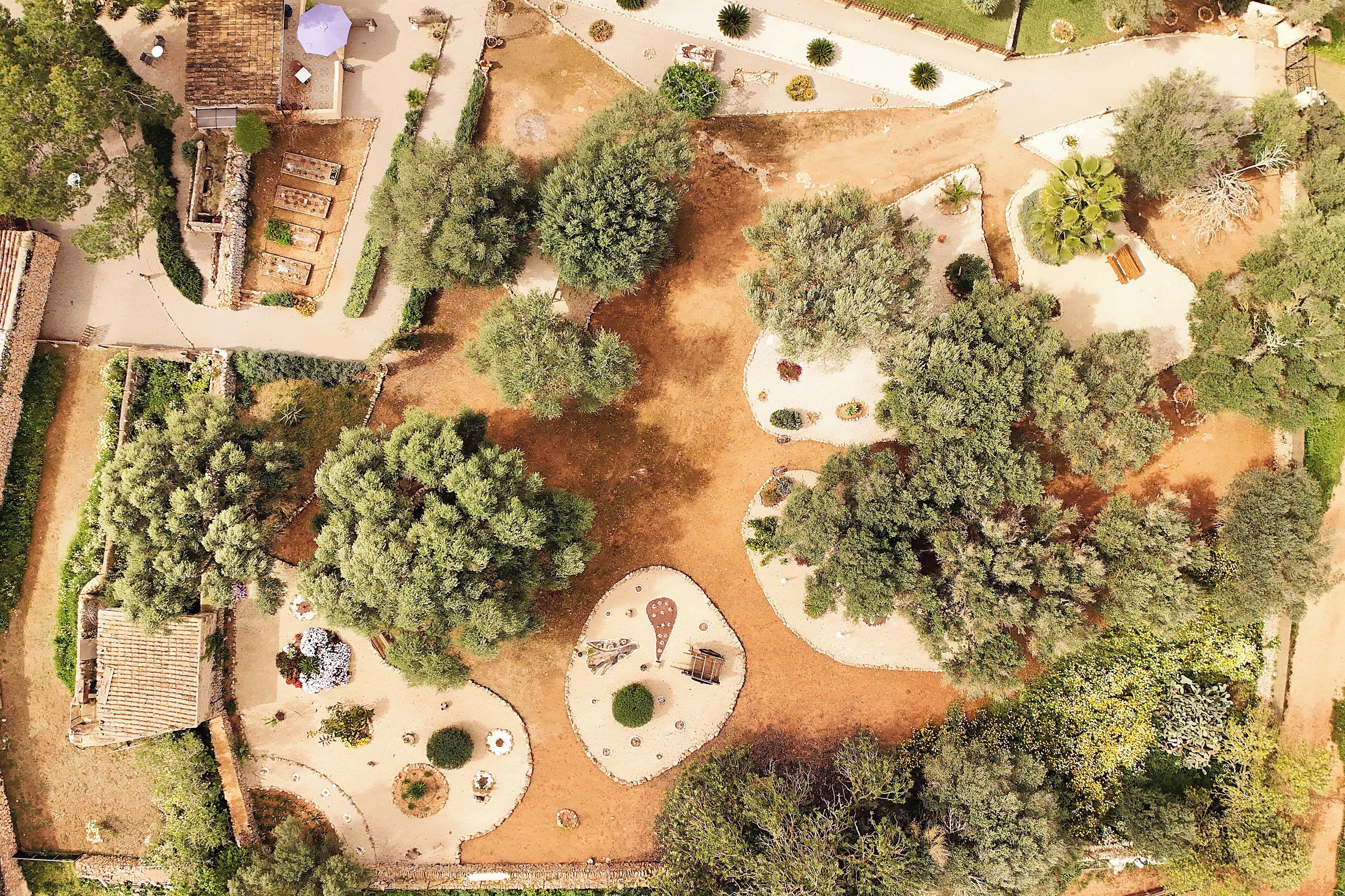 Photo - Finca Sa Canova Agroturismo