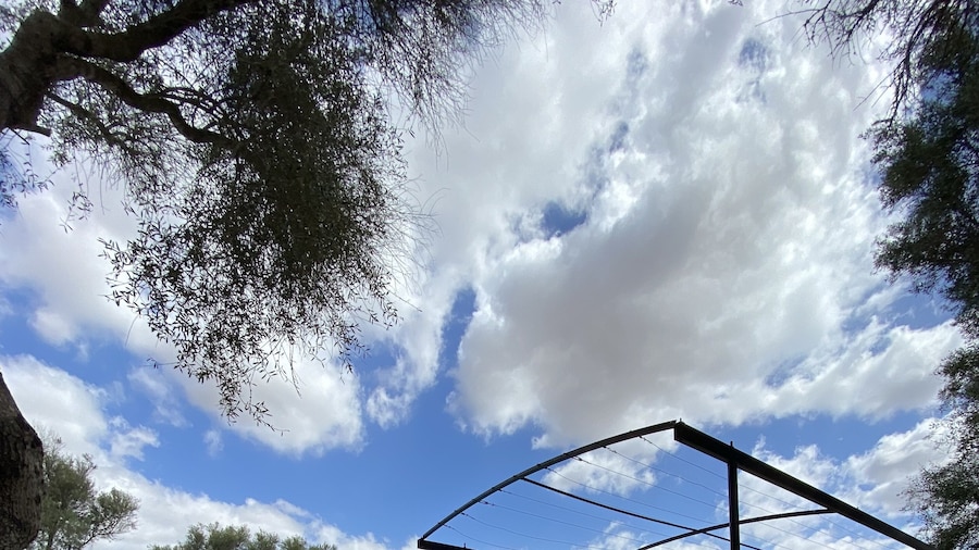 Finca Sa Canova Agroturismo