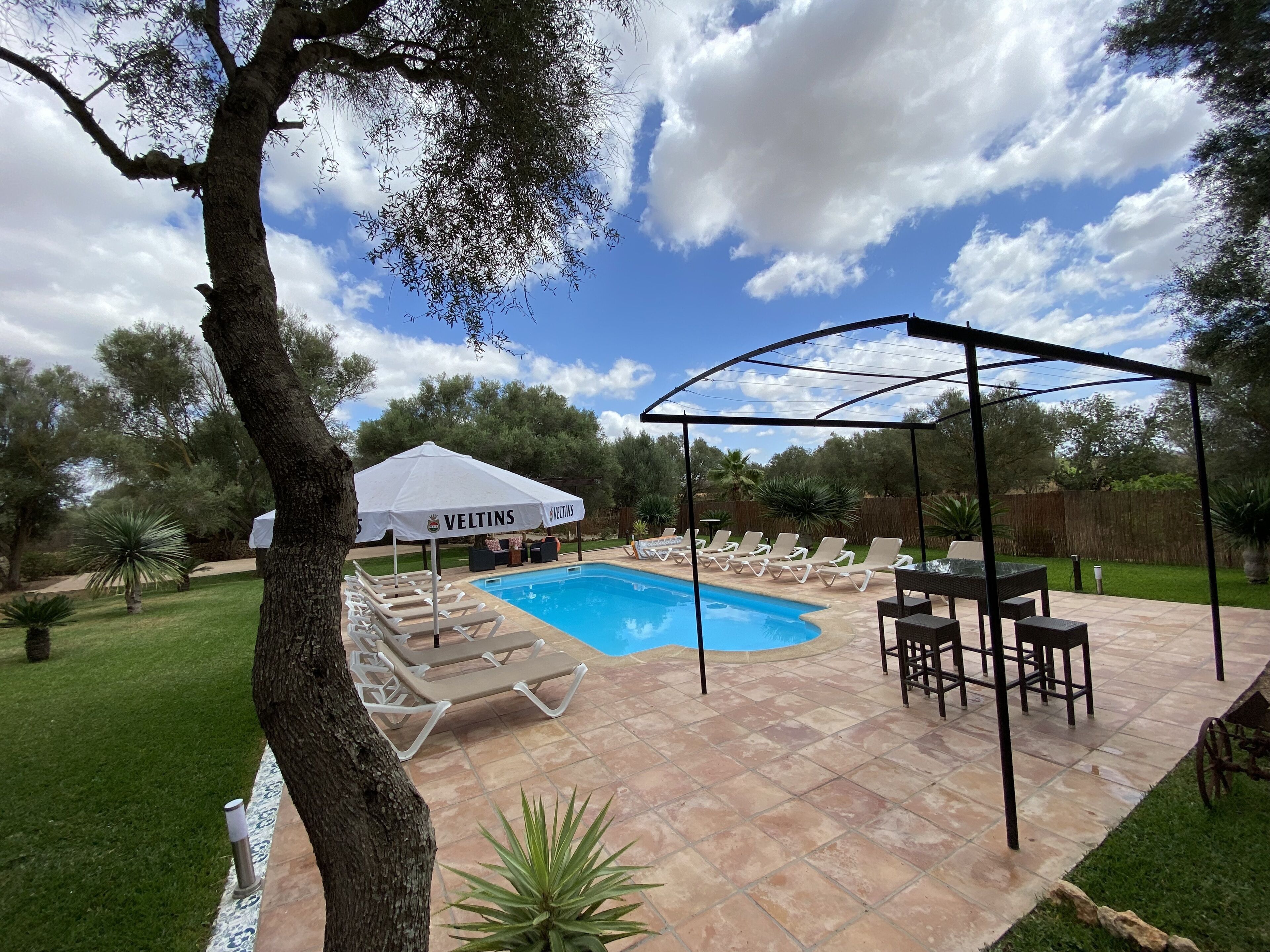 Seasonal outdoor pool, open 8:00 AM to 8:00 PM, pool umbrellas