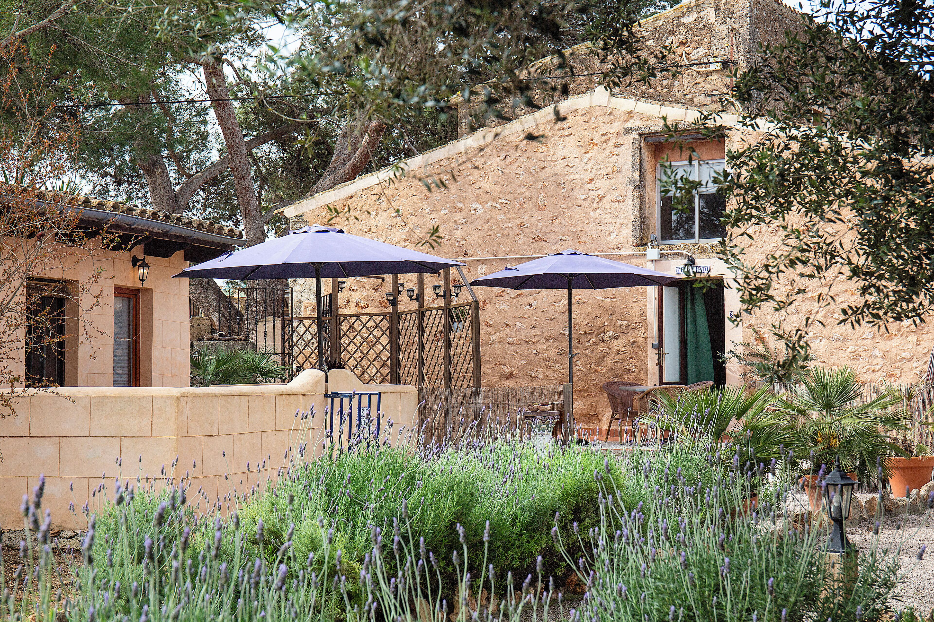 Foto - Finca Sa Canova Agroturismo