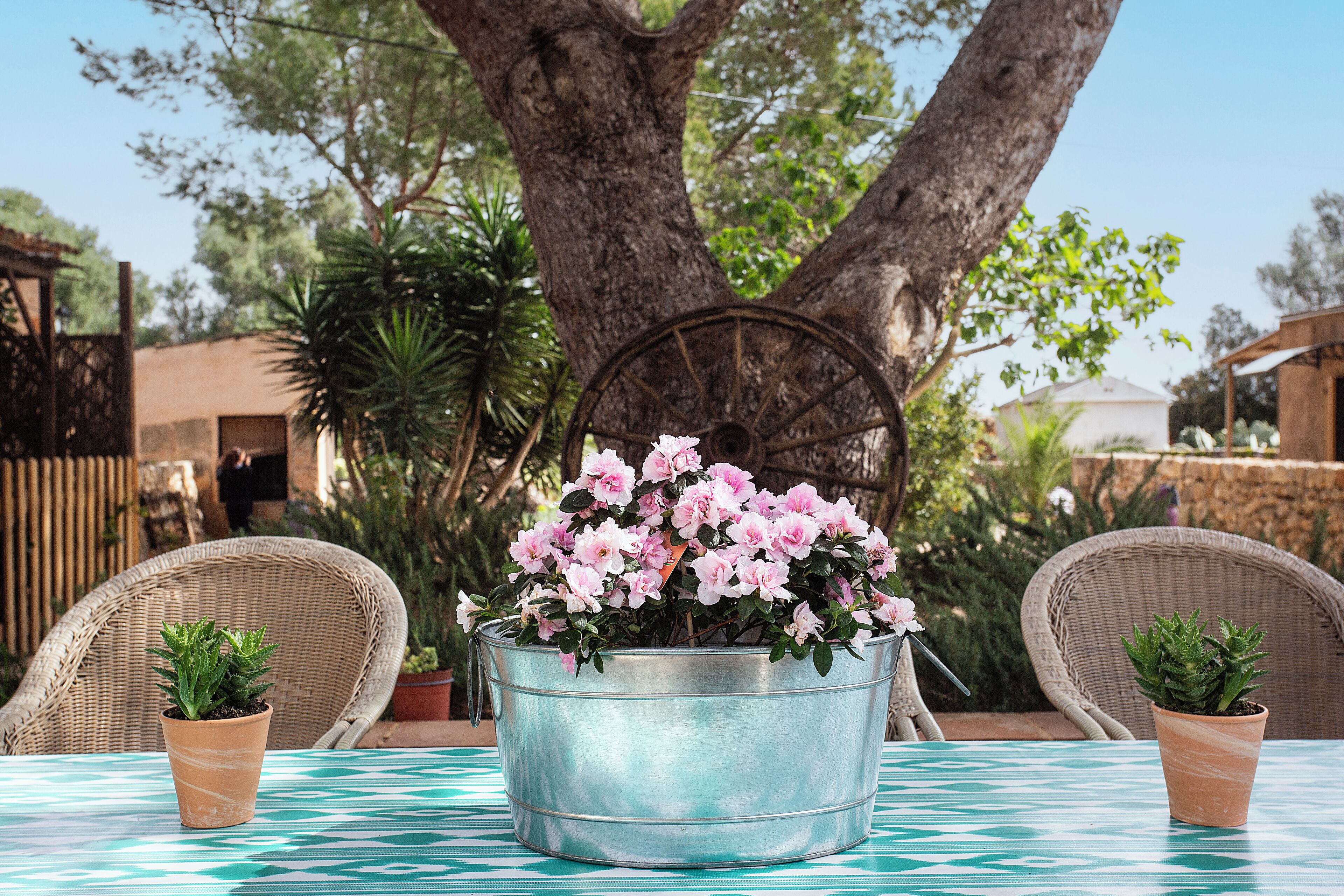 Family Quadruple Room | View from room