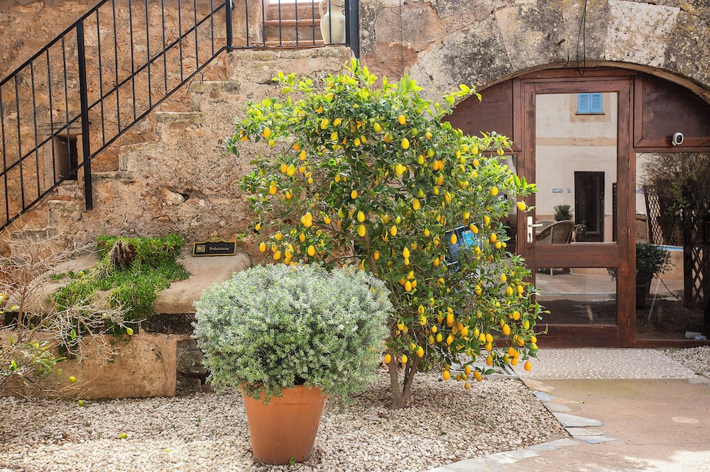 Finca Sa Canova Agroturismo