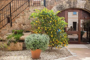 A courtyard with a potted plant, a tree with yellow fruit, and a stone wall. - Finca Sa Canova Agroturismo (Campos)