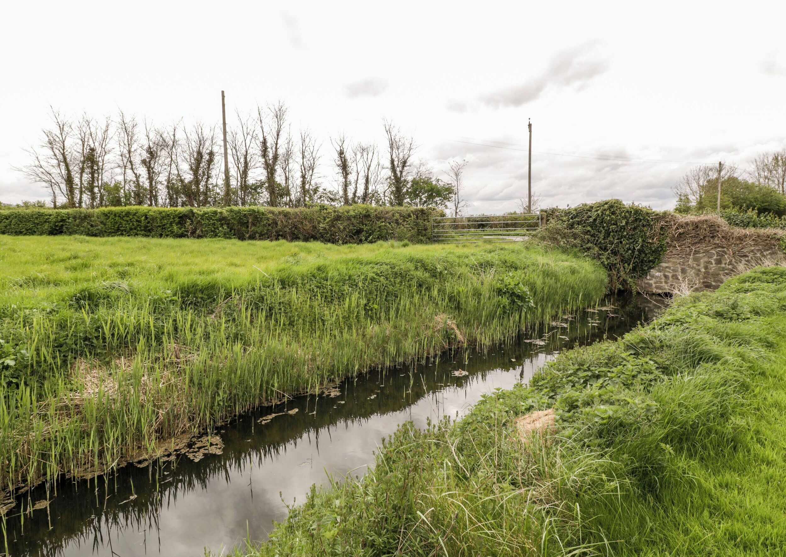 A narrow water channel with dense green vegetation on both sides.