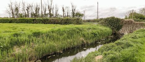 A narrow water channel with dense green vegetation on both sides.