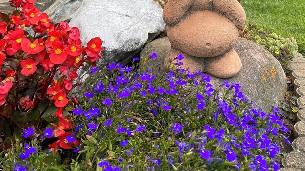 Un jardín con una escultura de oso, flores rojas y azules, y una casa con puerta y ventanas verdes.