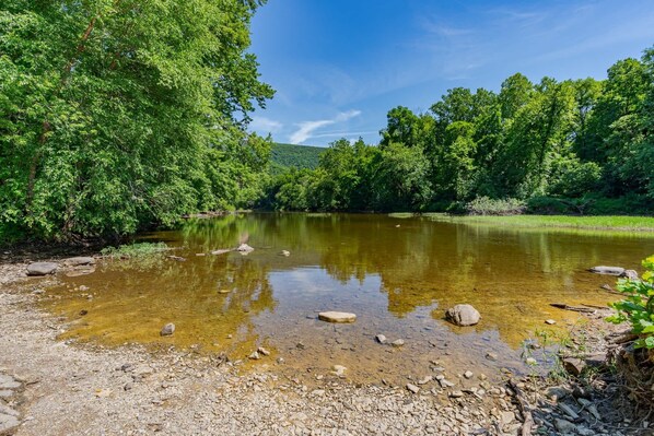 A river with clear water, surrounded by dense green trees and a rocky riverbank.