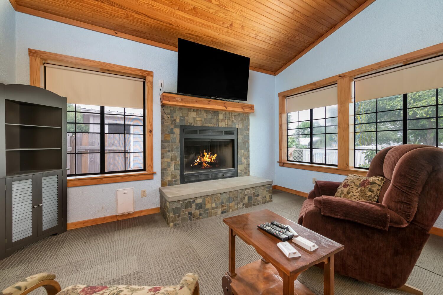 Smart TV, chimenea y libros 