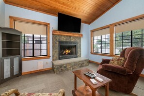 Smart TV, fireplace, books