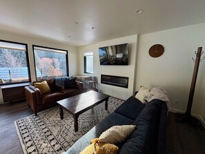 Smart TV, fireplace, books