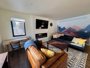 Smart TV, fireplace, books