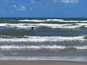 Playa en los alrededores, camastros y toallas de playa 