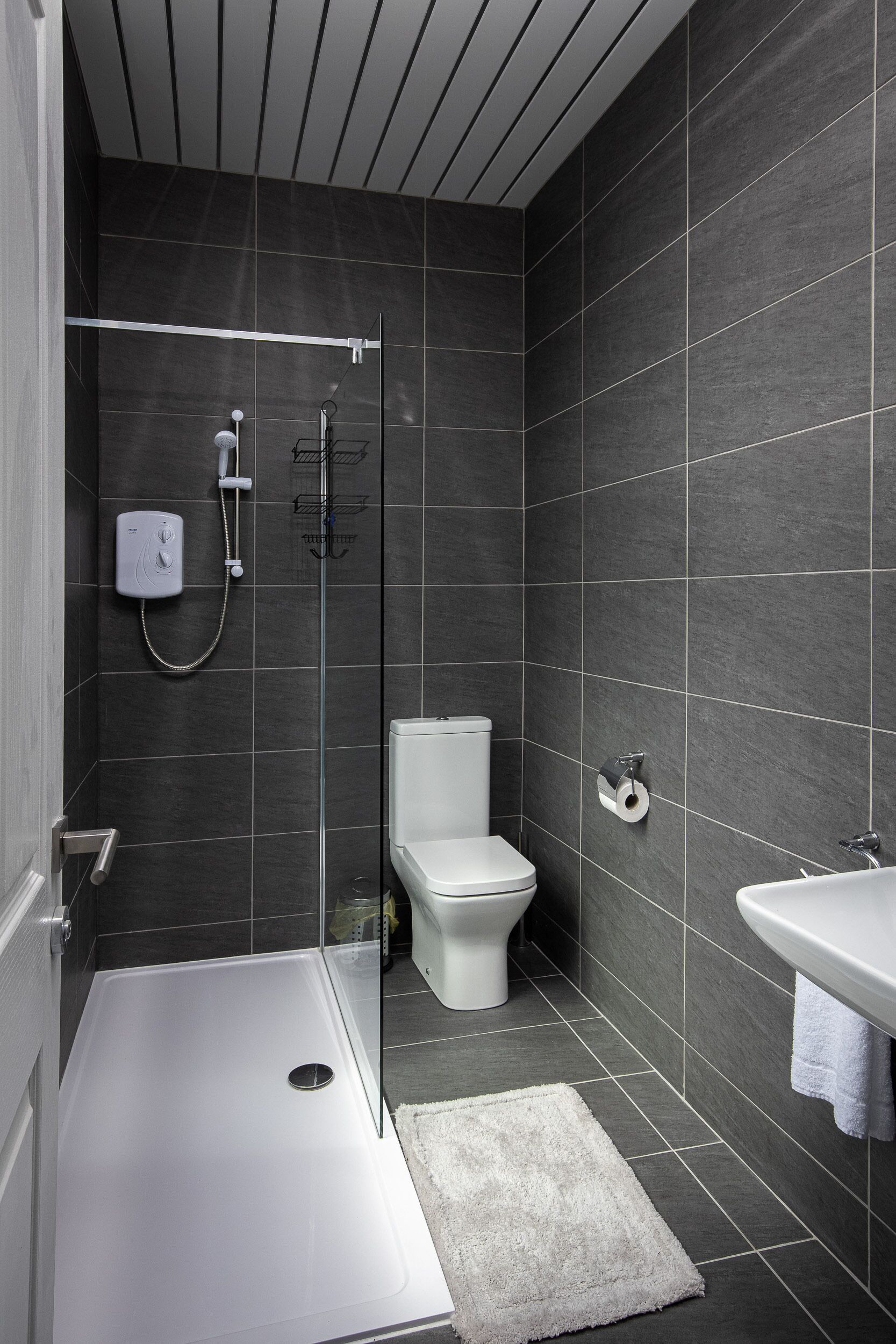 Une salle de bain moderne équipée d’une douche, de toilettes et d’un lavabo.