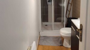 A compact bathroom with a shower enclosure, a toilet, and a radiator.