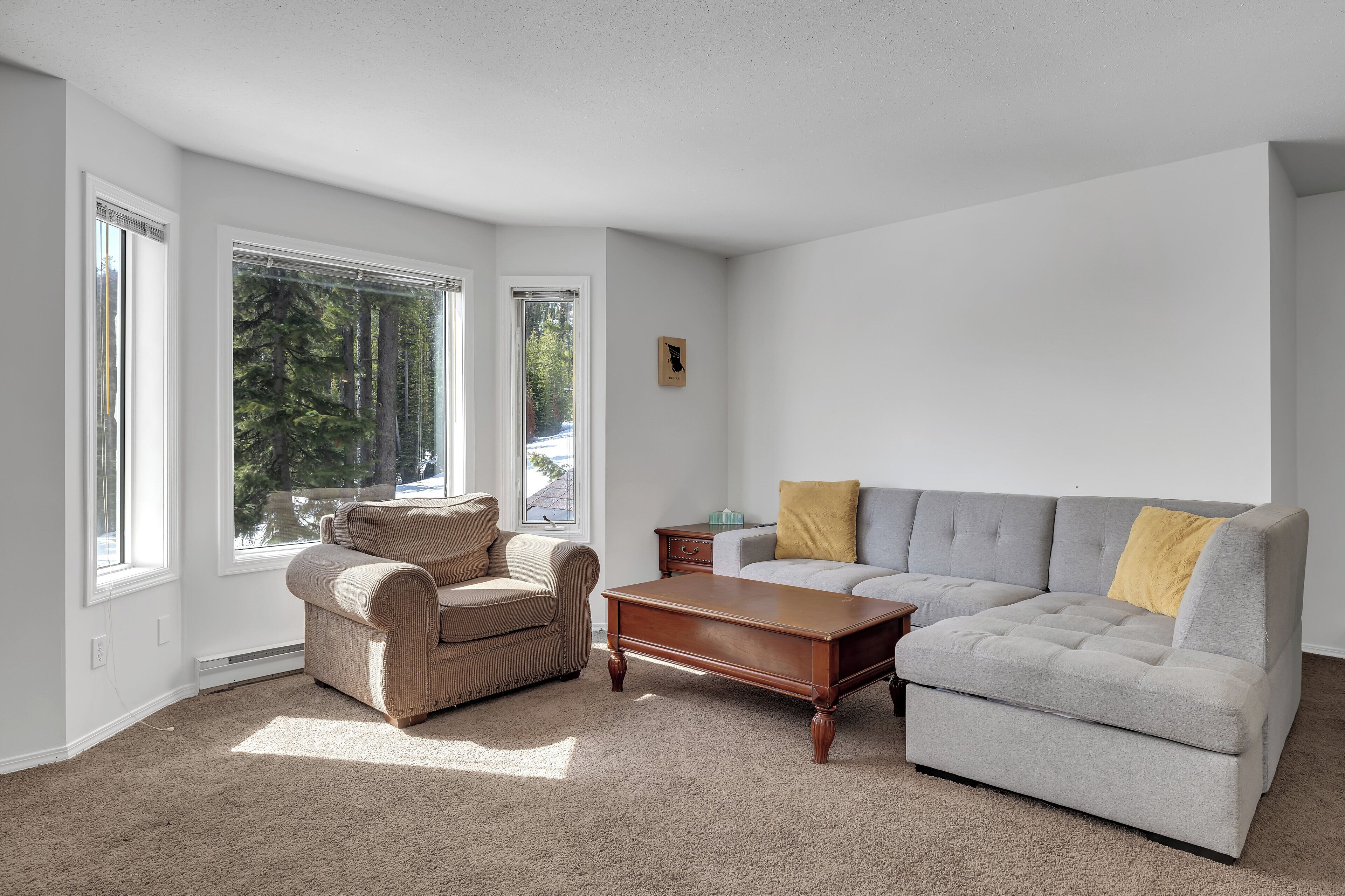 Smart TV, fireplace, video games